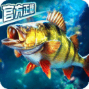 上海gina